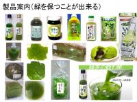 商品の開発に役立つ退色しにくい緑の緑茶微粒ペースト1kg(3500円税込)+開発サンプル付き
